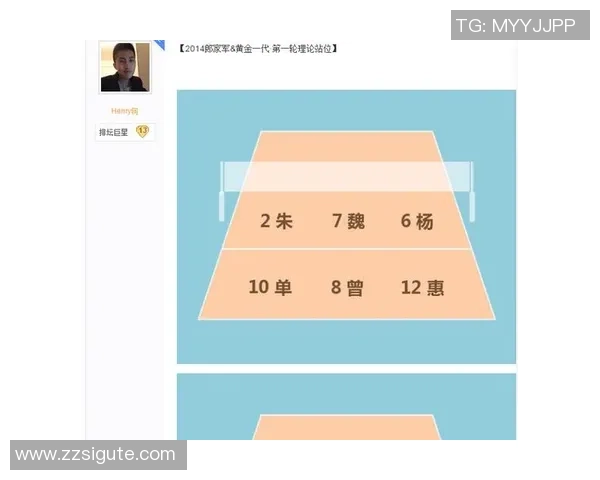 成都排球队在世界锦标赛中的技术表现分析与点评